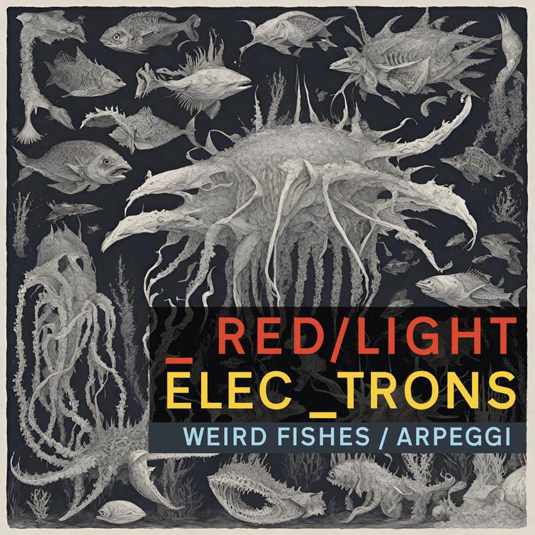 Redlight Electrons's avatar image