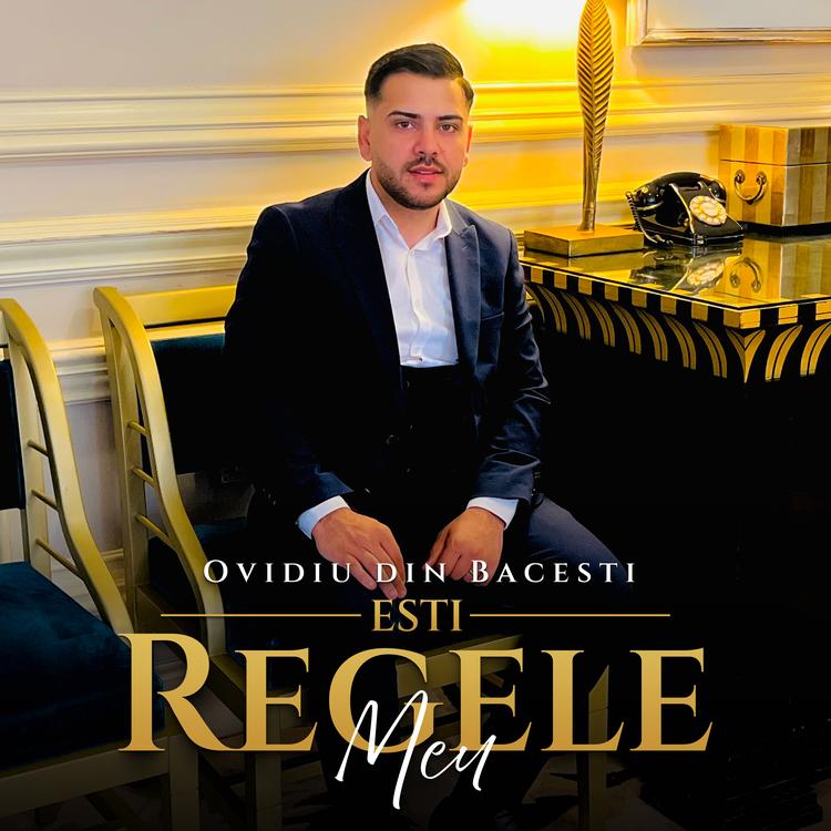 Ovidiu din Bacesti's avatar image