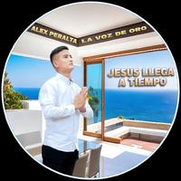 Alex Peralta La Voz de Oro's avatar cover