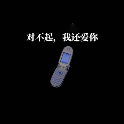 对不起，我还爱你's cover