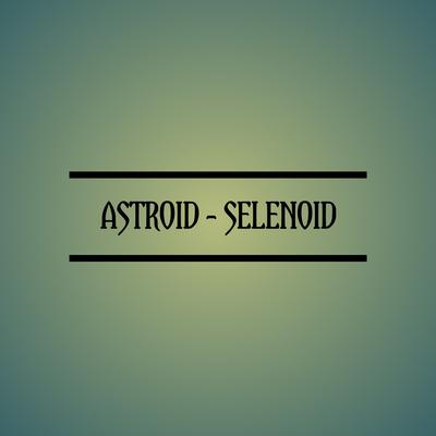 Selenoid's cover