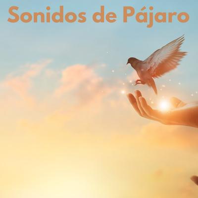 Canto de los Pájaros's cover