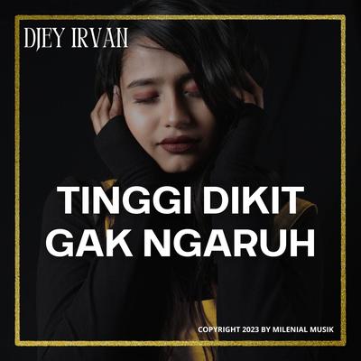 DJEY IRVAN's cover