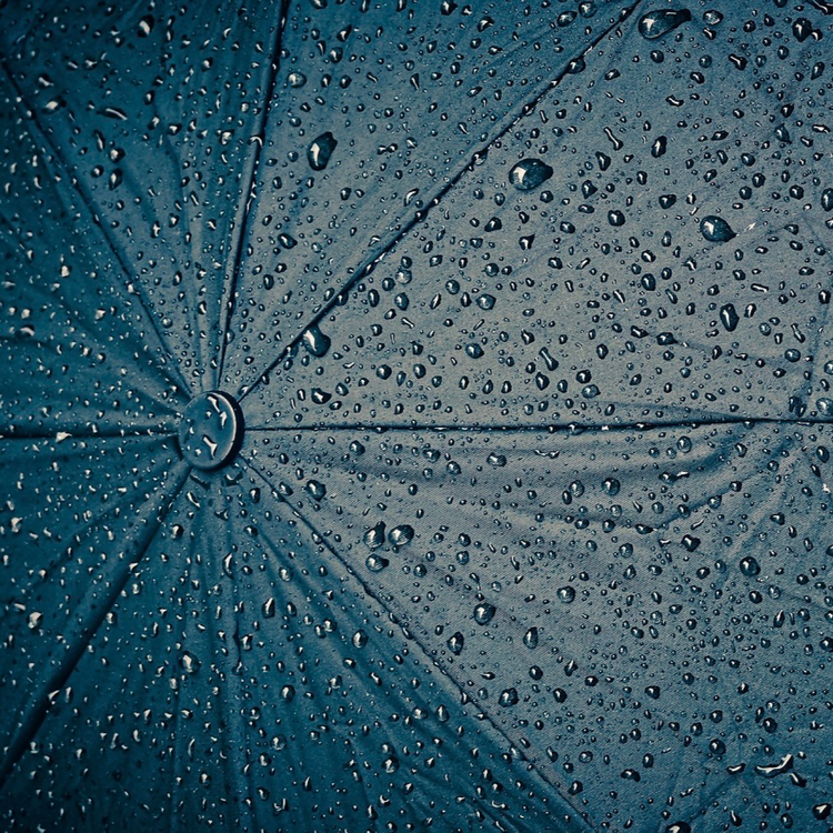 Rain Balance's avatar image