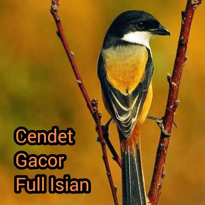 Cendet Gacor Full Isian's cover