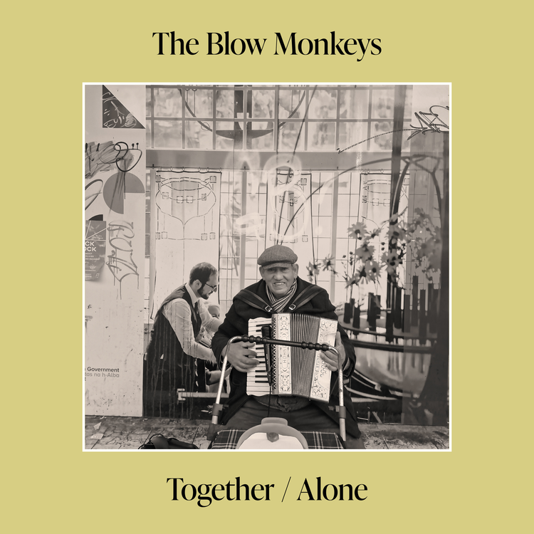 The Blow Monkeys's avatar image