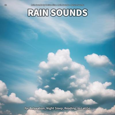 Rain Sounds's cover