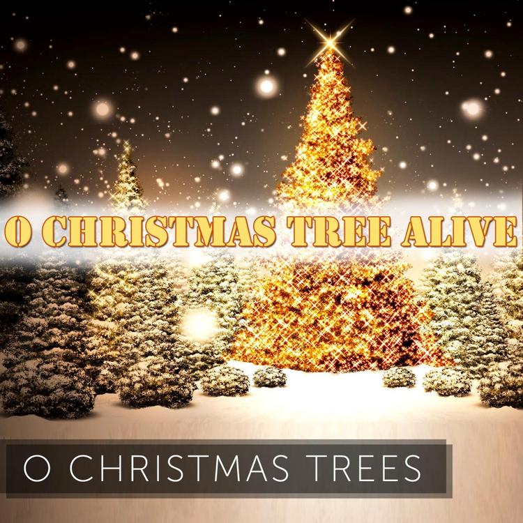 O Christmas Trees's avatar image