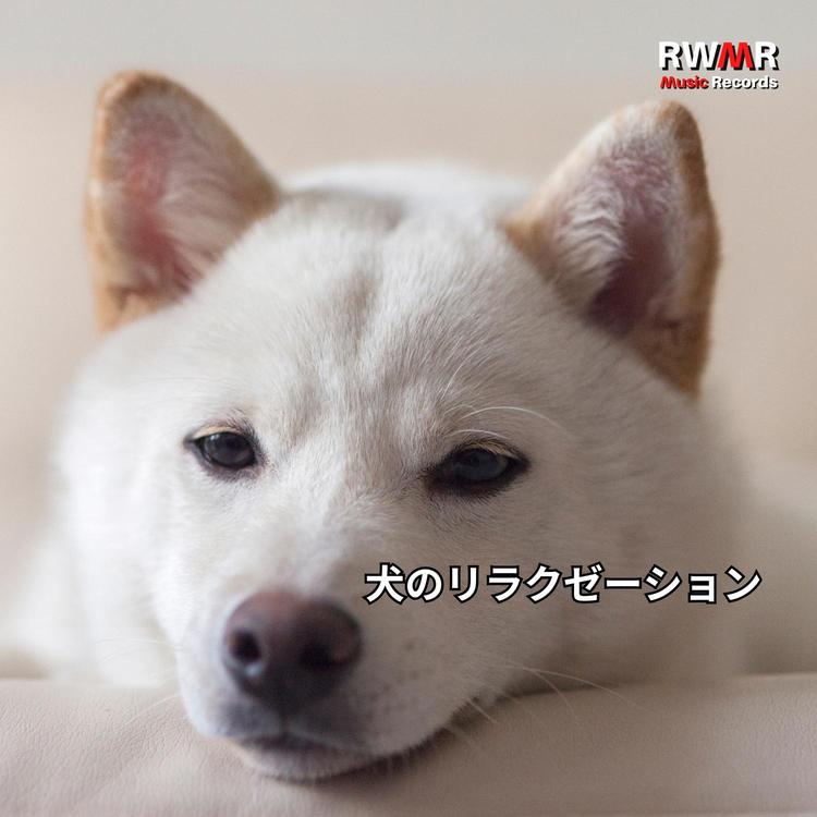 RW 怠惰な犬's avatar image