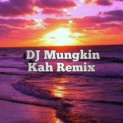 DJ Mungkinkah Remix's cover