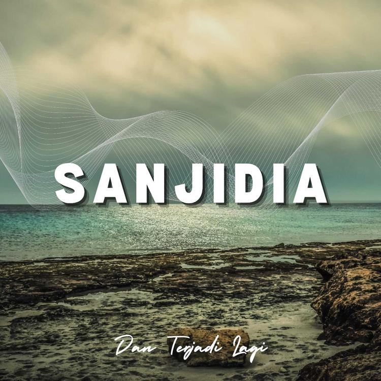 SanjiDia's avatar image