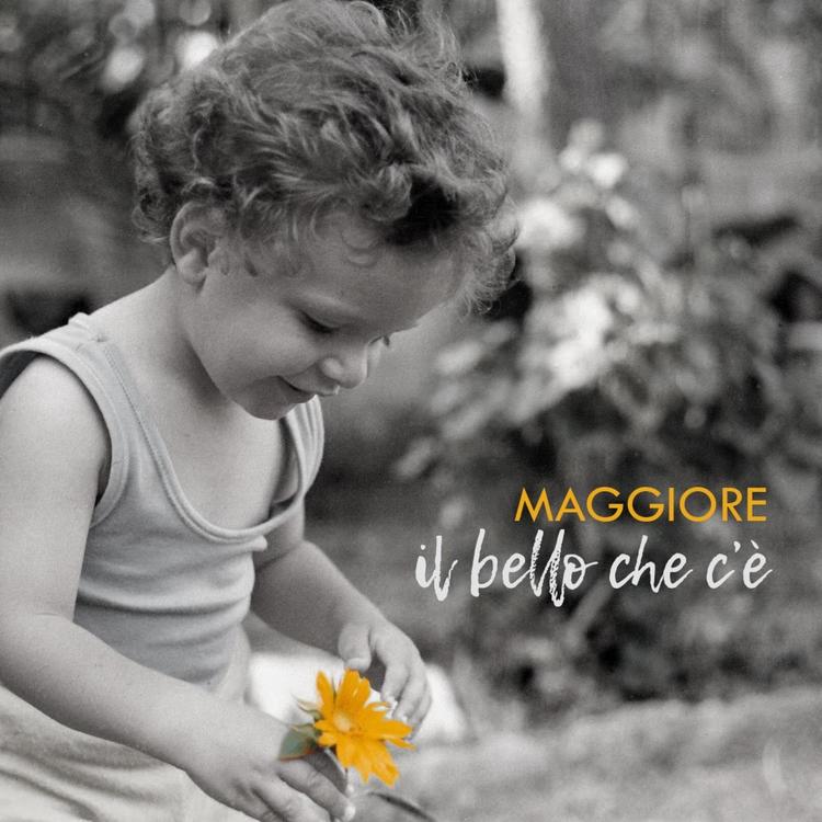 Maggiore's avatar image