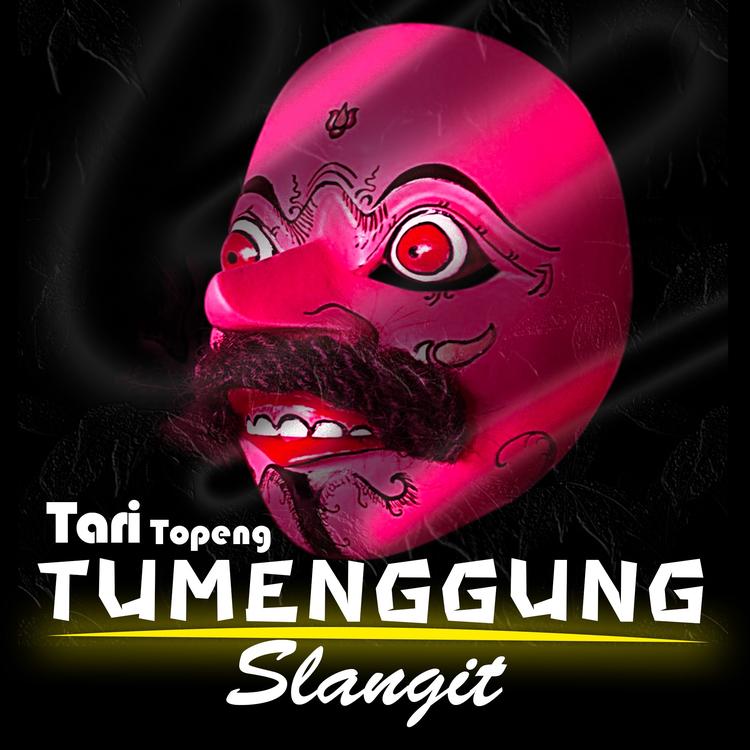 Slangit Musik's avatar image