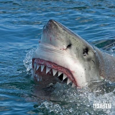 Shark Tales's cover