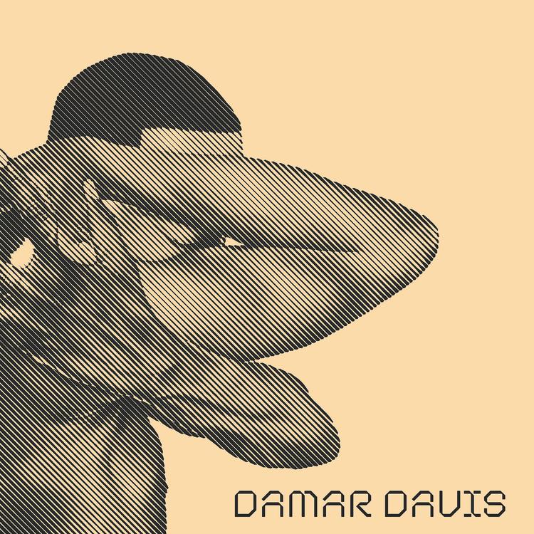 Damar Davis's avatar image