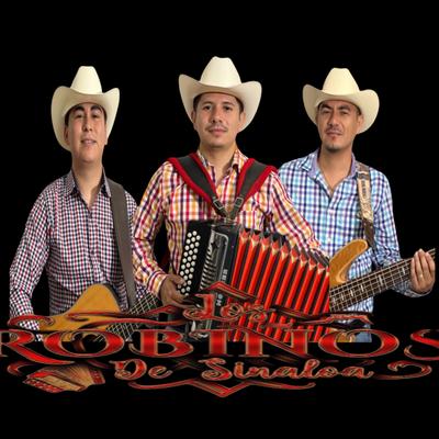 Los Robiños de Sinaloa's cover