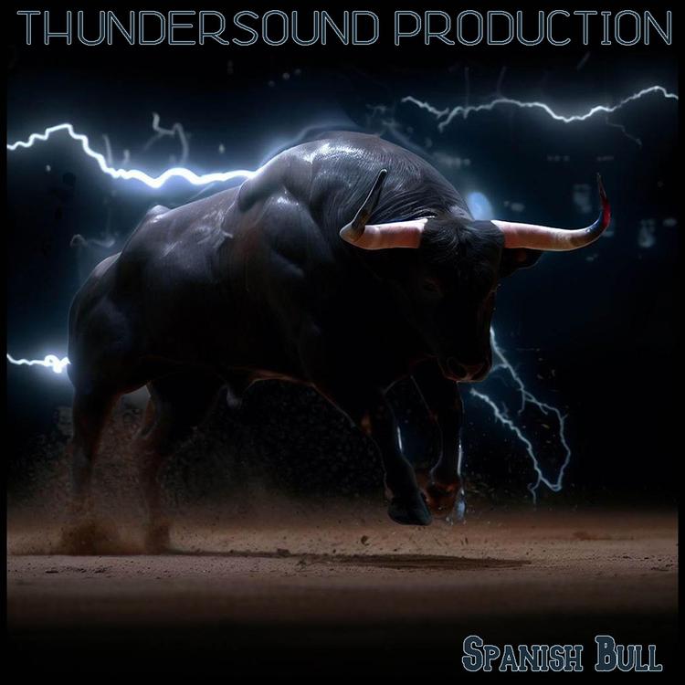 Thunder Sound Production's avatar image