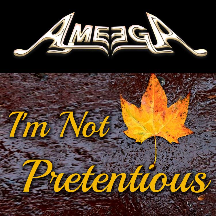 Ameega's avatar image