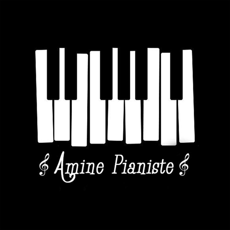 Amine Pianiste's avatar image