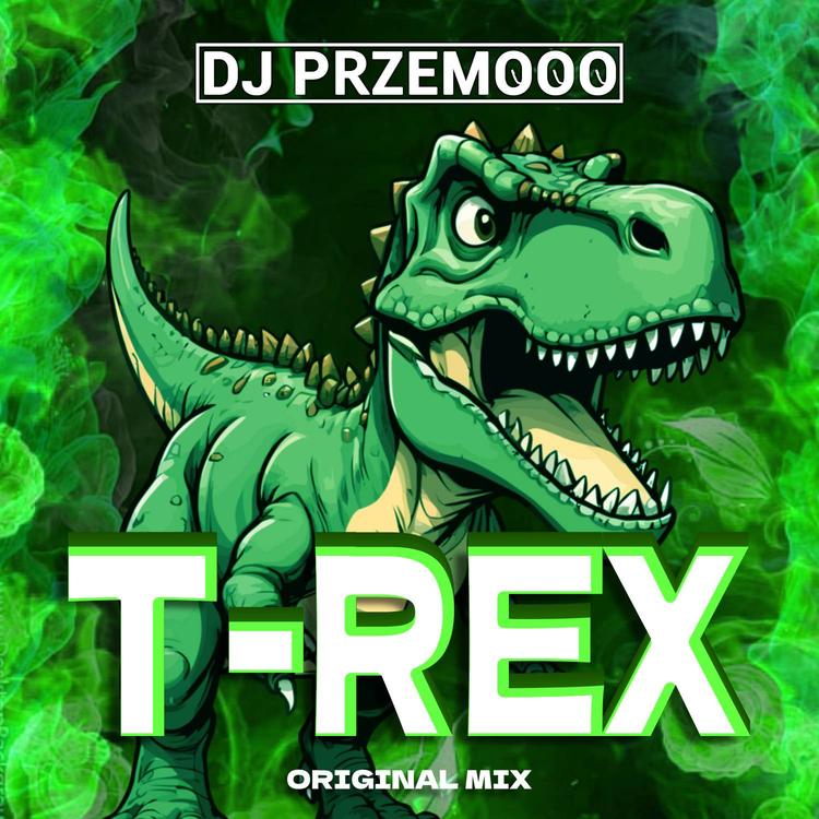 DJ Przemooo's avatar image