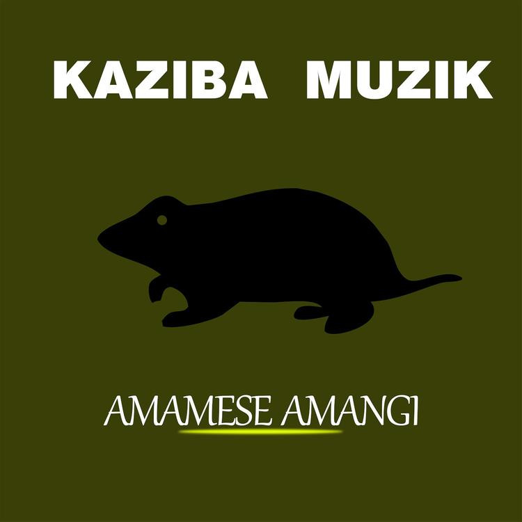 Kaziba Muzik's avatar image