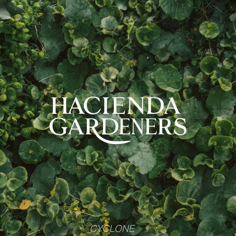 Hacienda Gardeners's avatar image