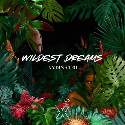 Wildest Dreams's cover