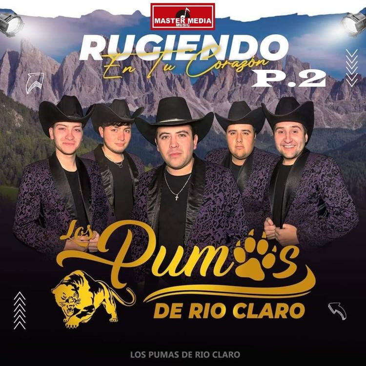 Los Pumas de Rio Claro's avatar image