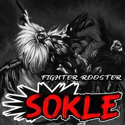 Fighter Rooster's cover