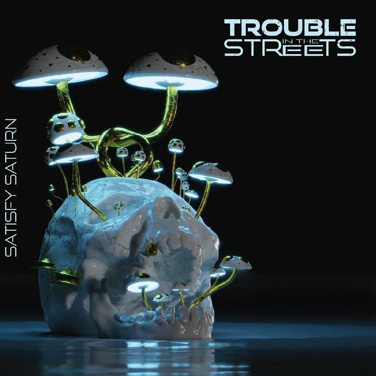 Trouble in the Streets's avatar image