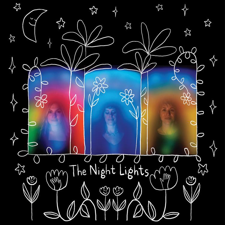 the night lights's avatar image