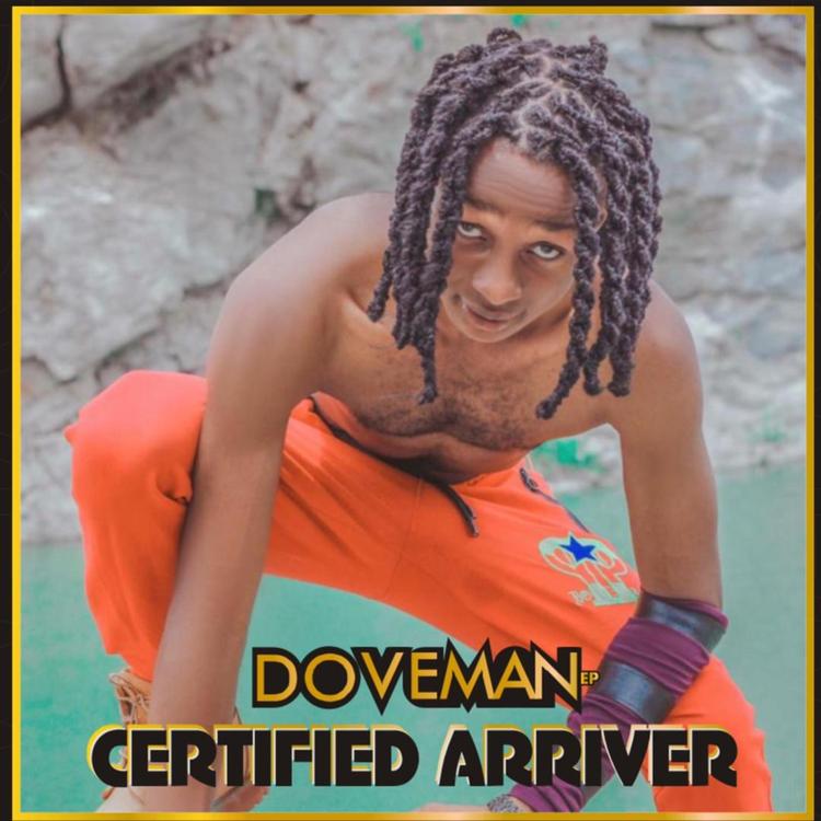 Doveman's avatar image