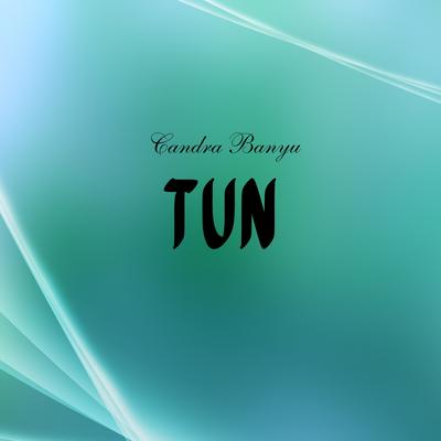 Tun's cover