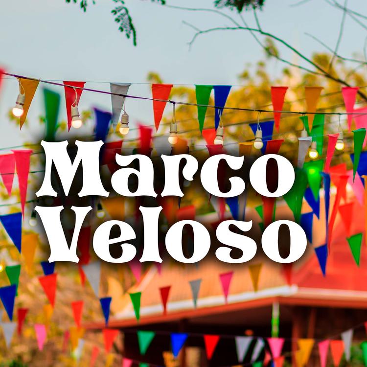 Marco Veloso's avatar image