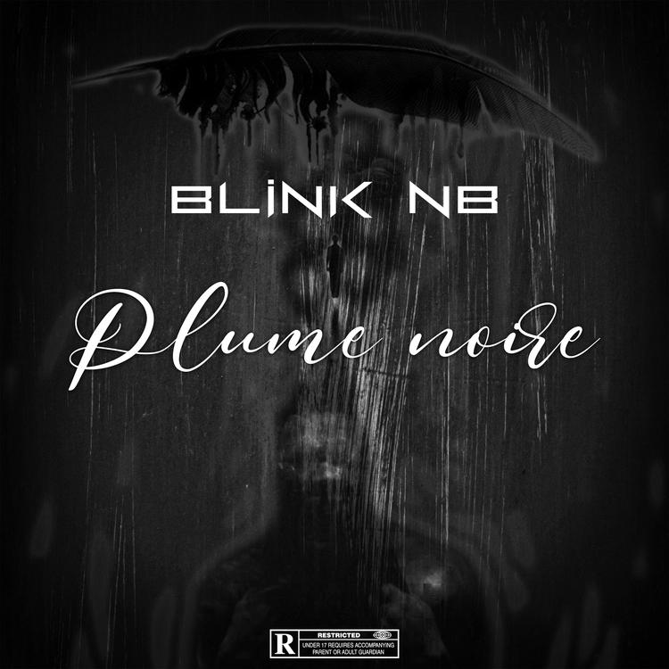 Blink NB's avatar image