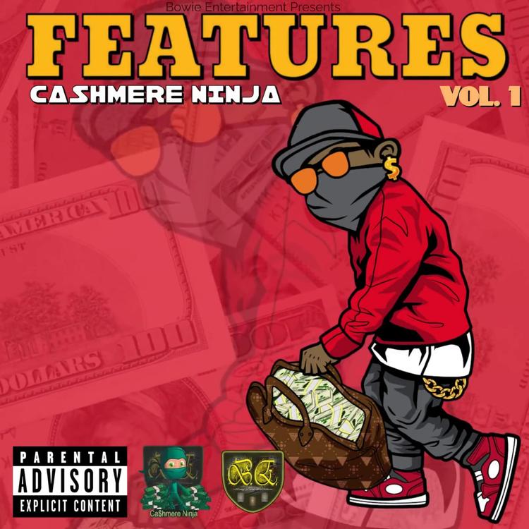 Cashmere Ninja's avatar image