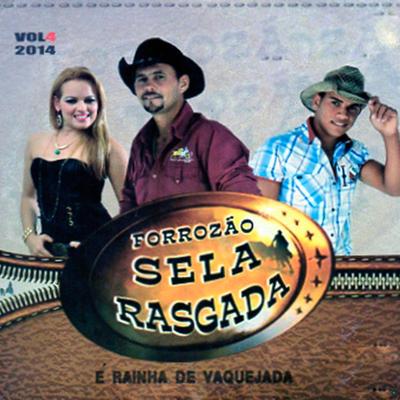 Desengano da Paixão's cover