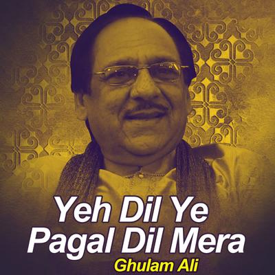 Yeh Dil Ye Pagal Dil Mera's cover