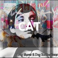 Cat's avatar cover