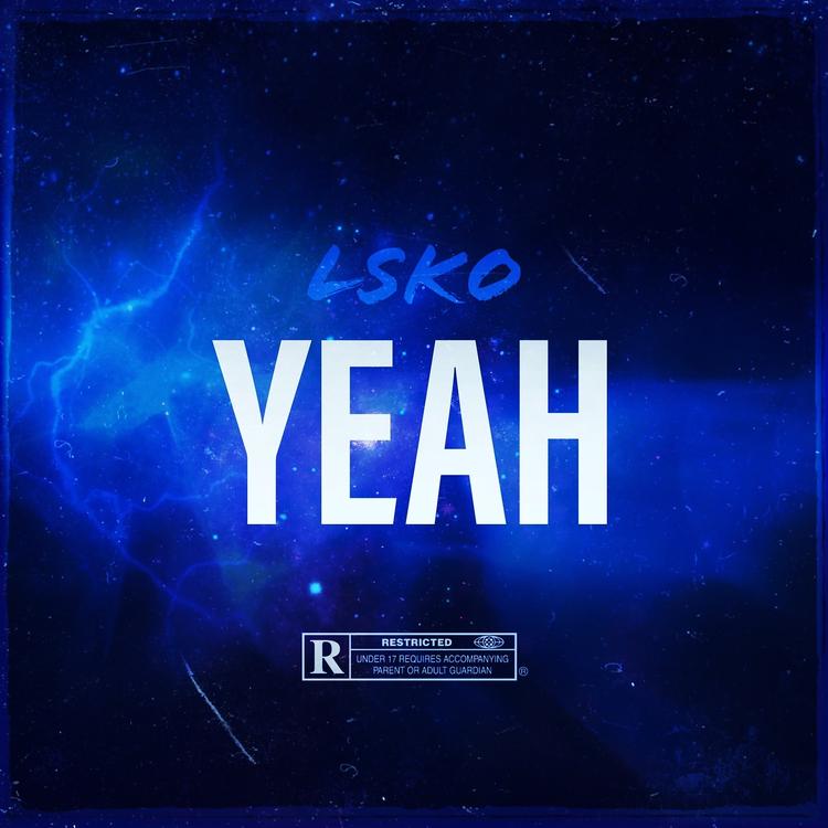 LSKO's avatar image