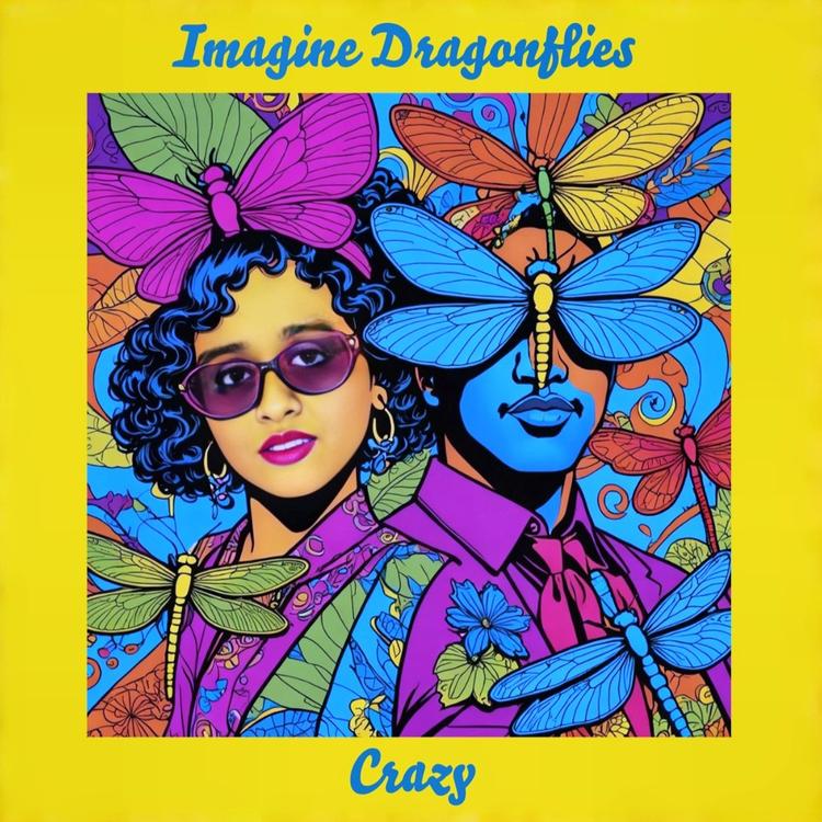 Imagine Dragonflies's avatar image