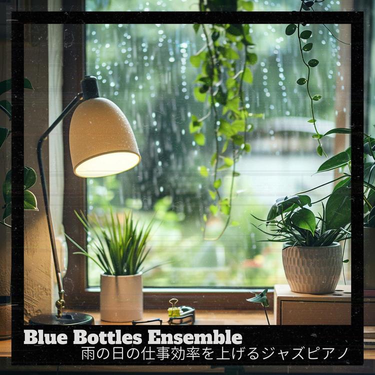 Blue Bottles Ensemble's avatar image