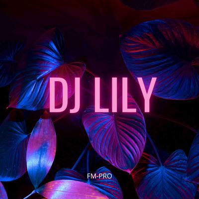 DJ Lily's cover