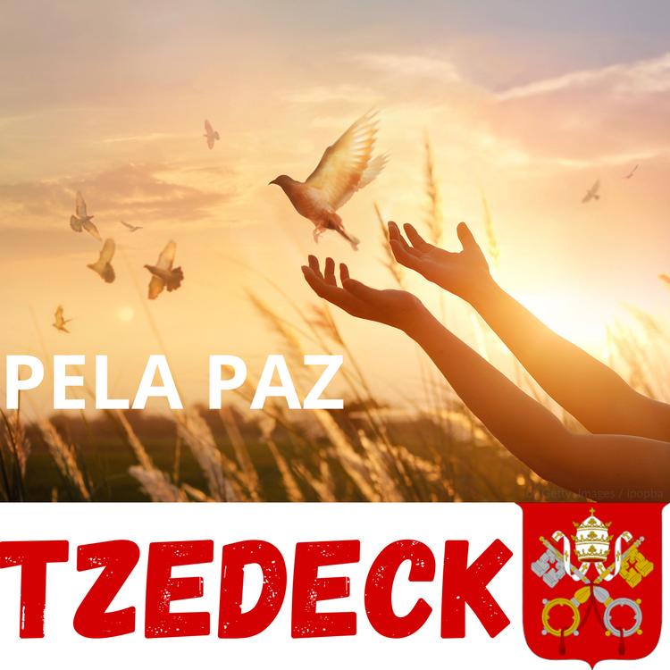 Tzedeck's avatar image