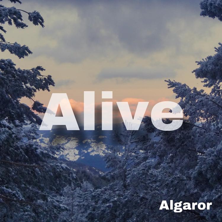 Algaror's avatar image