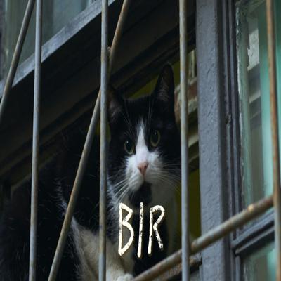 Bir's cover