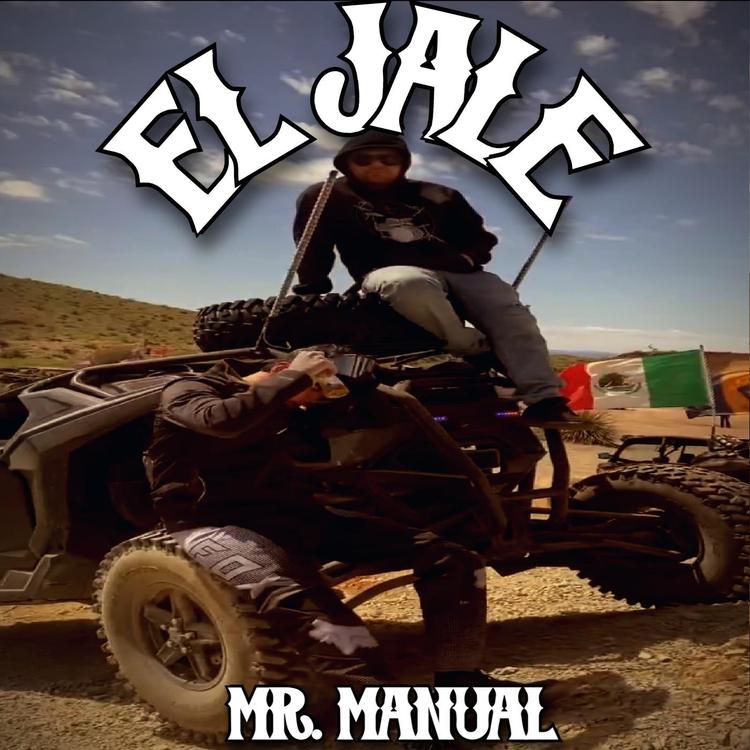 Mr. Manual's avatar image