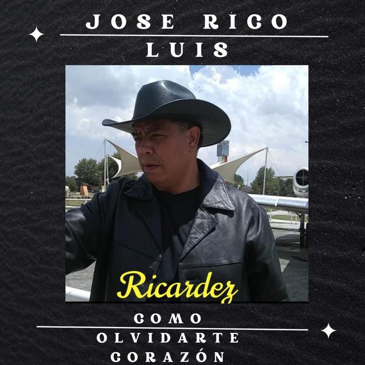 José Rico Luis Ricardez's avatar image