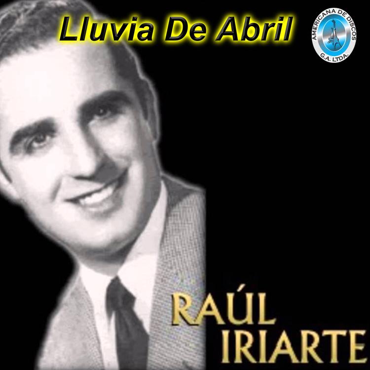 Raul Iriarte's avatar image