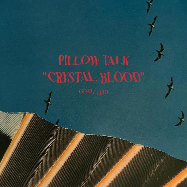Pillow Talk's avatar image